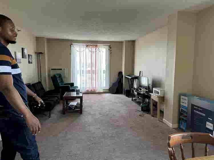 Female Roommate Wanted