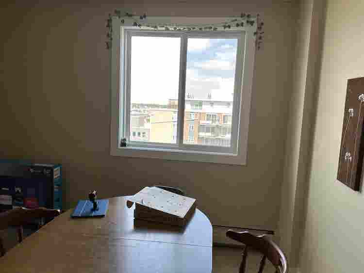 Female Roommate Wanted