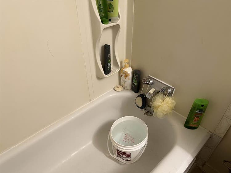 Female Roommate Wanted