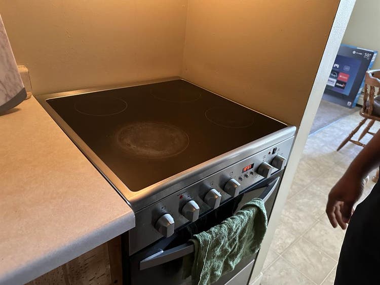 Female Roommate Wanted