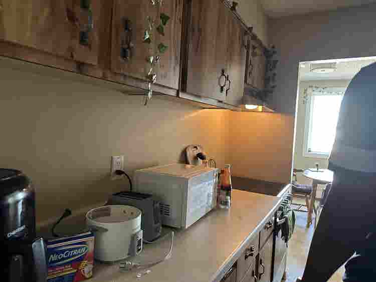 Female Roommate Wanted