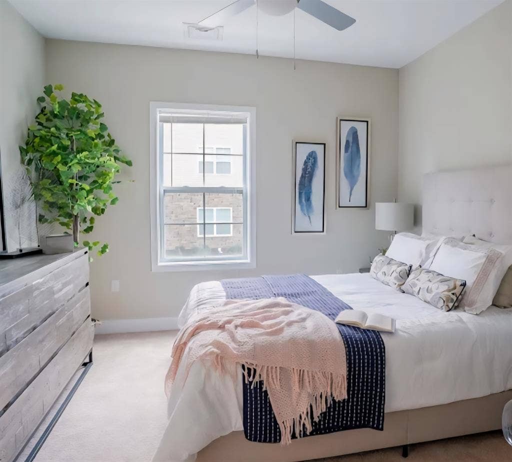 Male Roommate Wanted