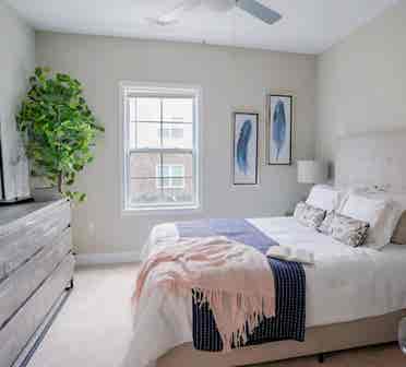 Male Roommate Wanted
