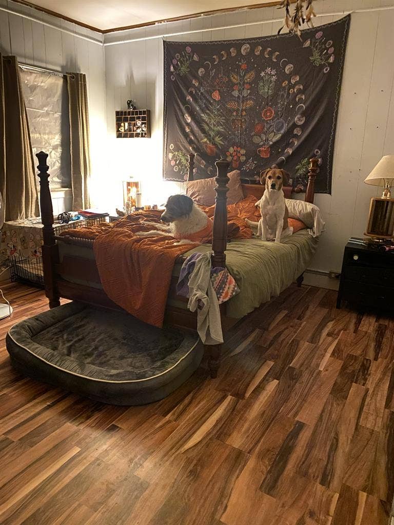 Master Bedroom!