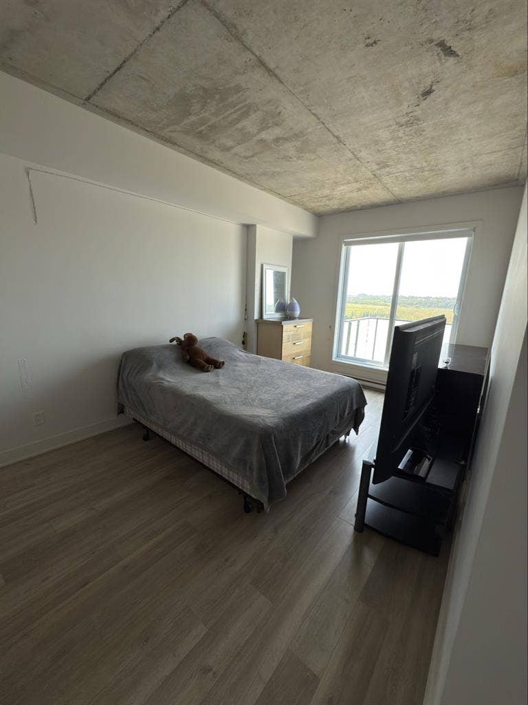 🌟Beautiful Room for Rent-Penthouse