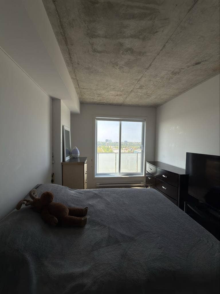 🌟Beautiful Room for Rent-Penthouse