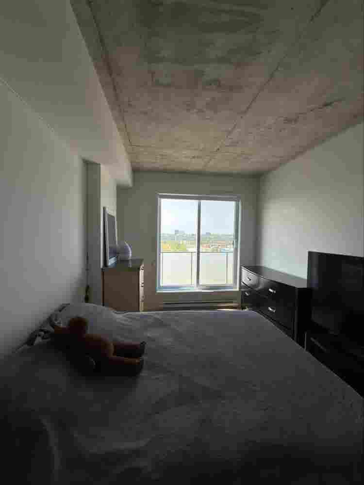 🌟Beautiful Room for Rent-Penthouse