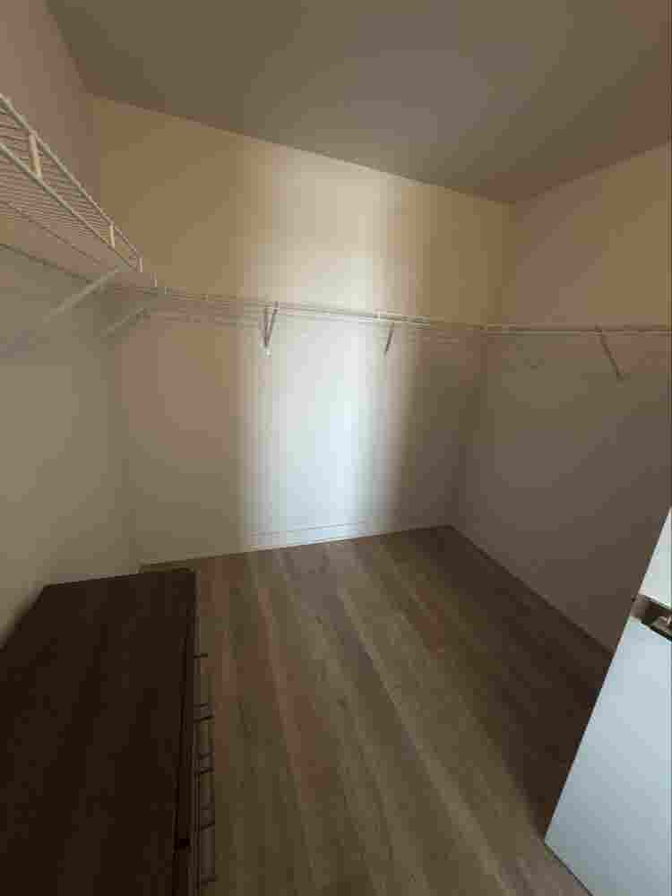 🌟Beautiful Room for Rent-Penthouse