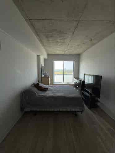 🌟Beautiful Room for Rent-Penthouse