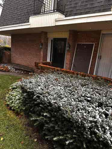 Townhouse for Rent