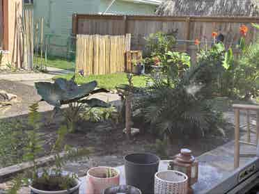 House of Light (1 mi Dania Beach)
