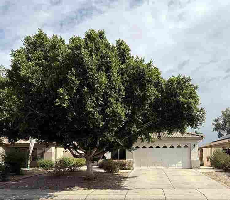 Rooms 5 min from Arrowhead mall!