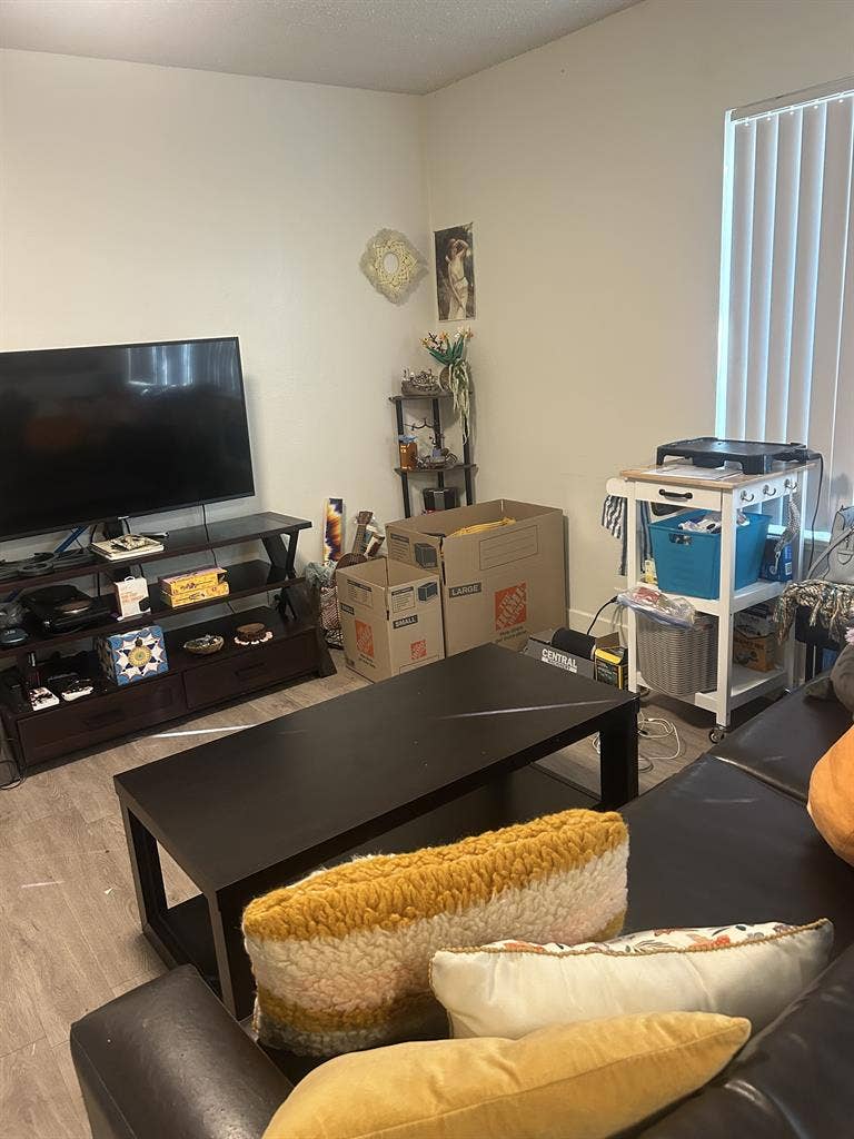 Deluxe Studio Apartment