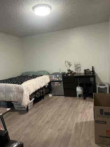 Deluxe Studio Apartment
