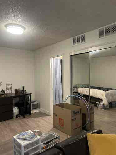 Deluxe Studio Apartment