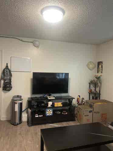 Deluxe Studio Apartment