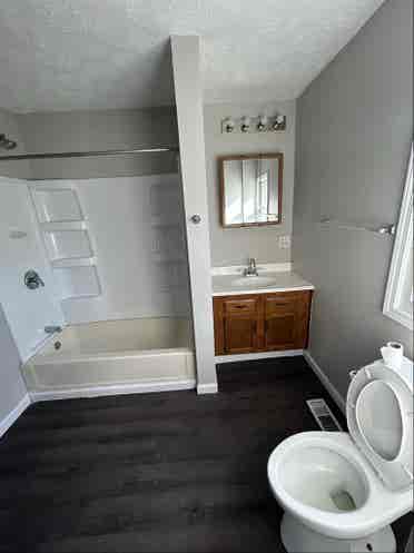 Roommate Wanted