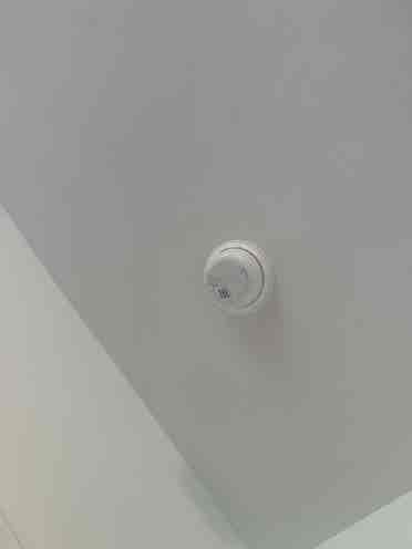 5 BR in Durham