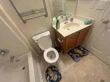3 BR in Raleigh