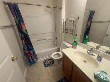 3 BR in Raleigh