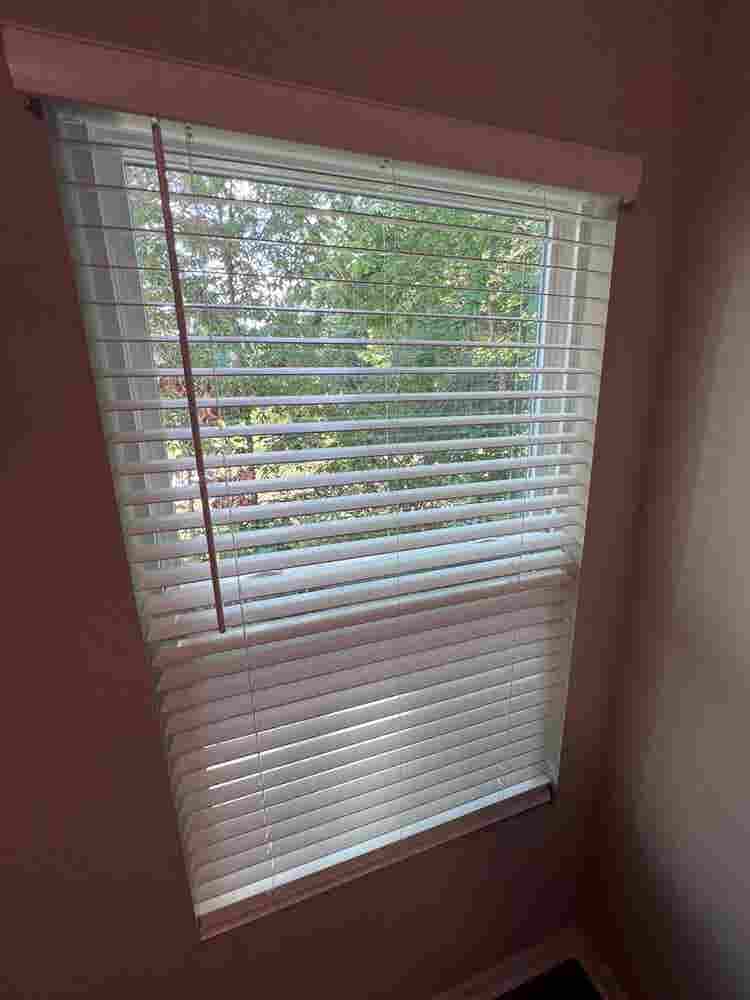 5 BR in Charlotte
