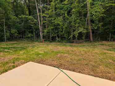 5 BR in Charlotte