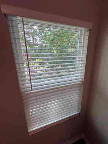 5 BR in Charlotte