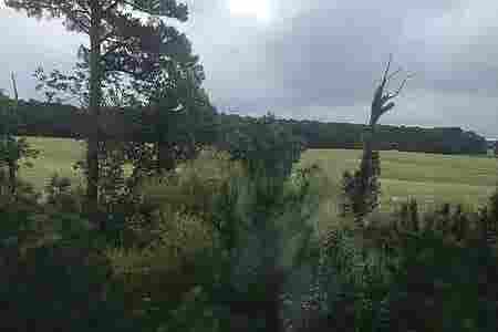 4 BR in Cary
