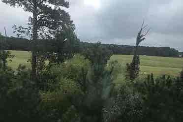 4 BR in Cary
