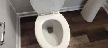 3 BR in Apex