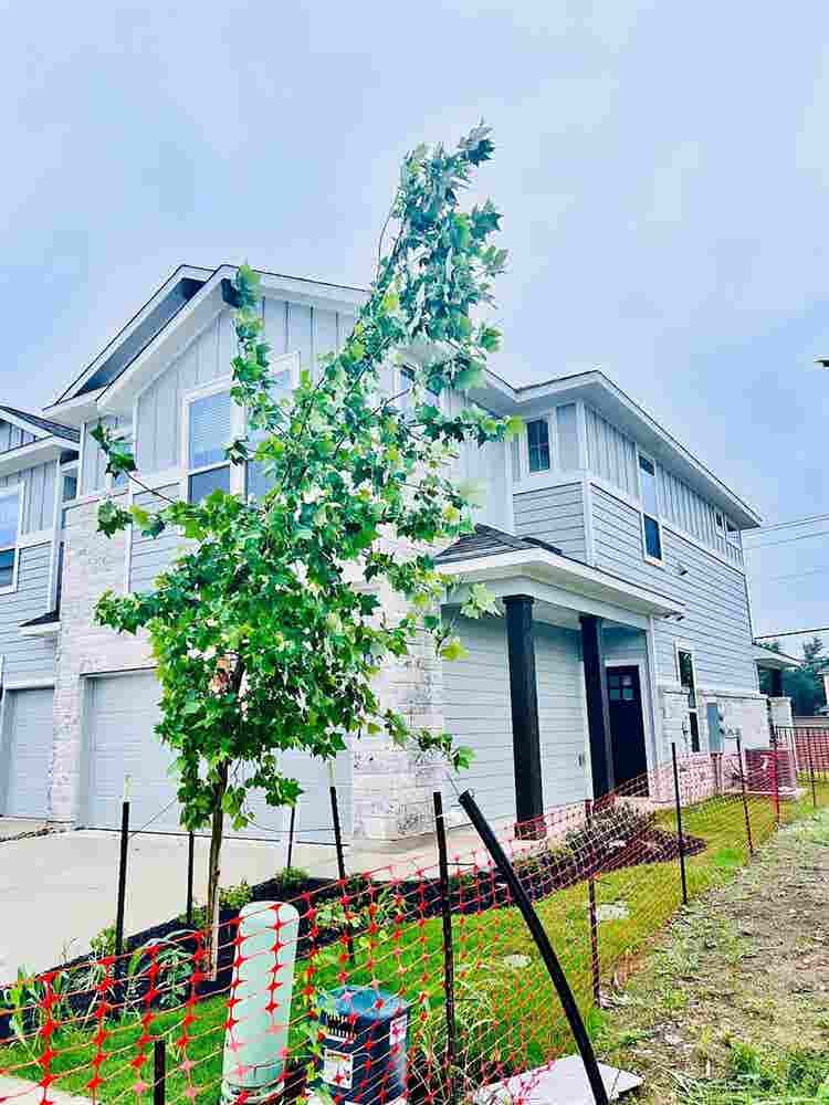 3 BR in Pflugerville