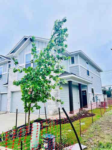 3 BR in Pflugerville