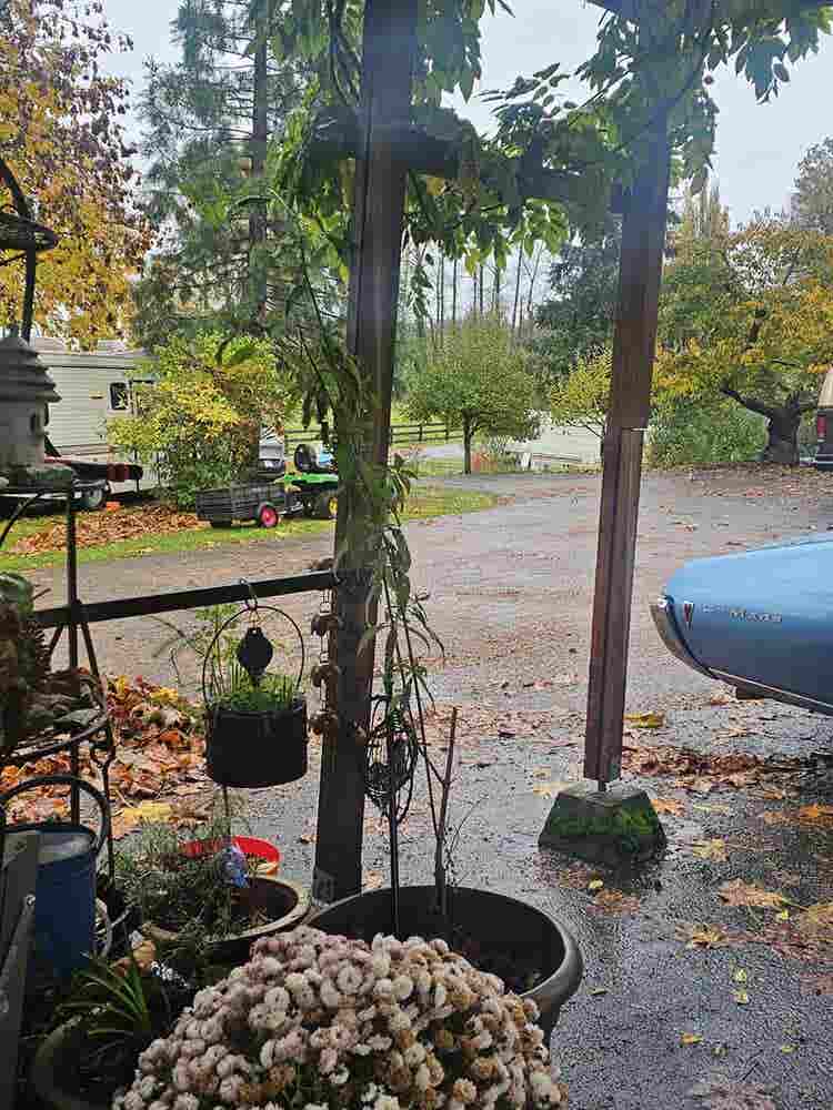 Garden Two Room Suite Kitchenette