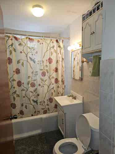 Lower Allston br apt