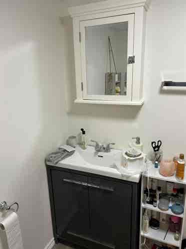 story student rental