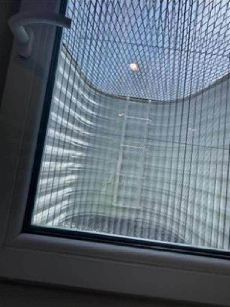 Basement room utl incl 1 male