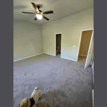 HUGE Furnished BR + En Suite!