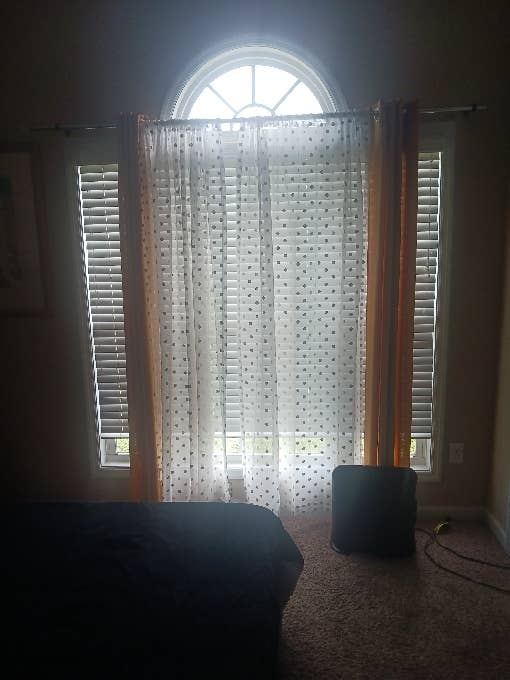 I am looking for a roommate