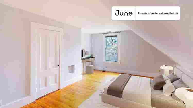5 BR in Boston