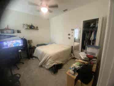 Room available for rent