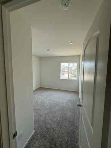 2 rooms for rent