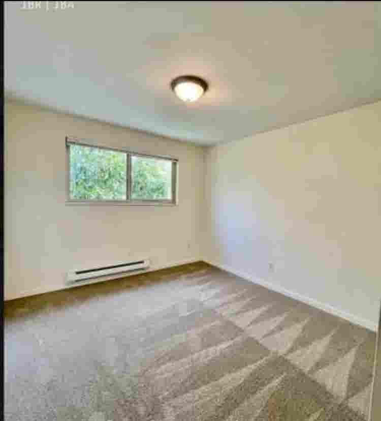 West Seattle 1 bedroom Apartment