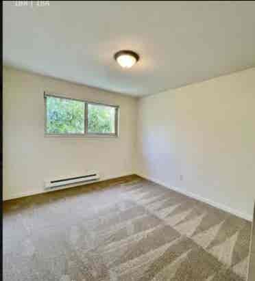 West Seattle 1 bedroom Apartment