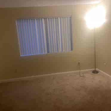 Looking for roommates.