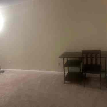 Looking for roommates.