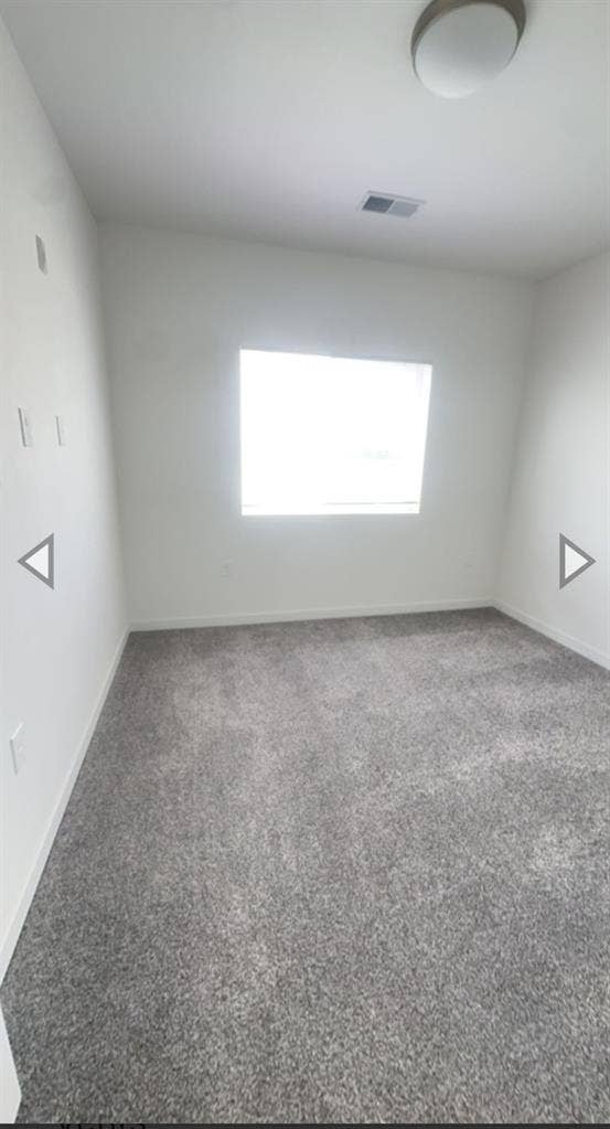 Roommate Wanted!