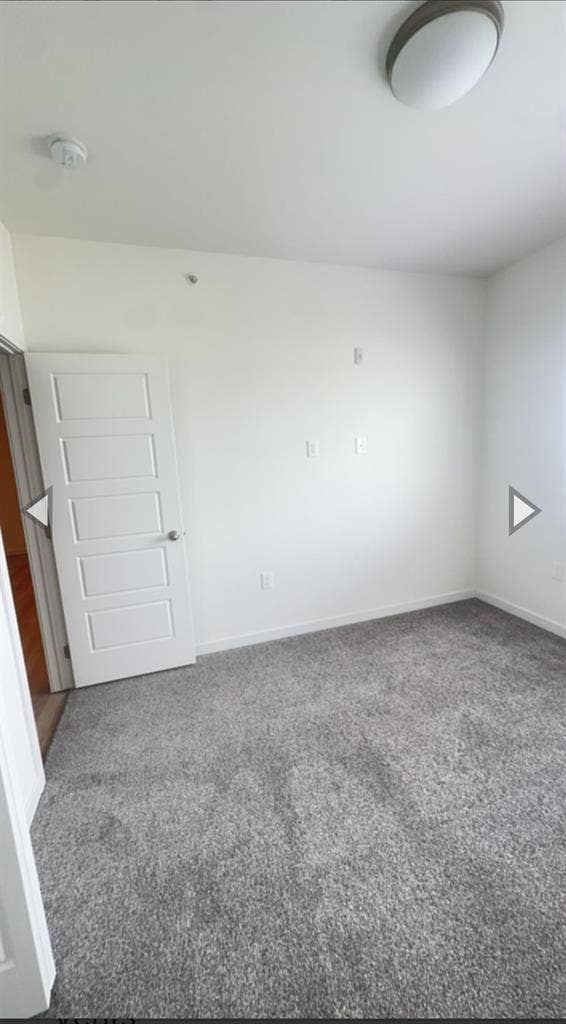 Roommate Wanted!