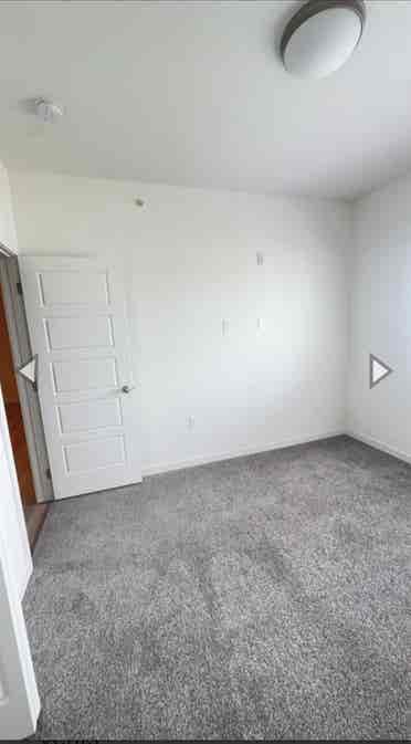 Roommate Wanted!