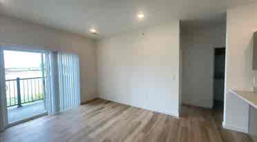 Roommate Wanted!