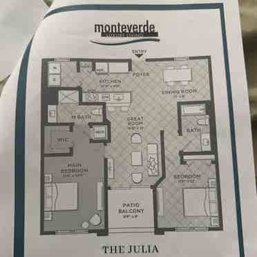 Roommate needed